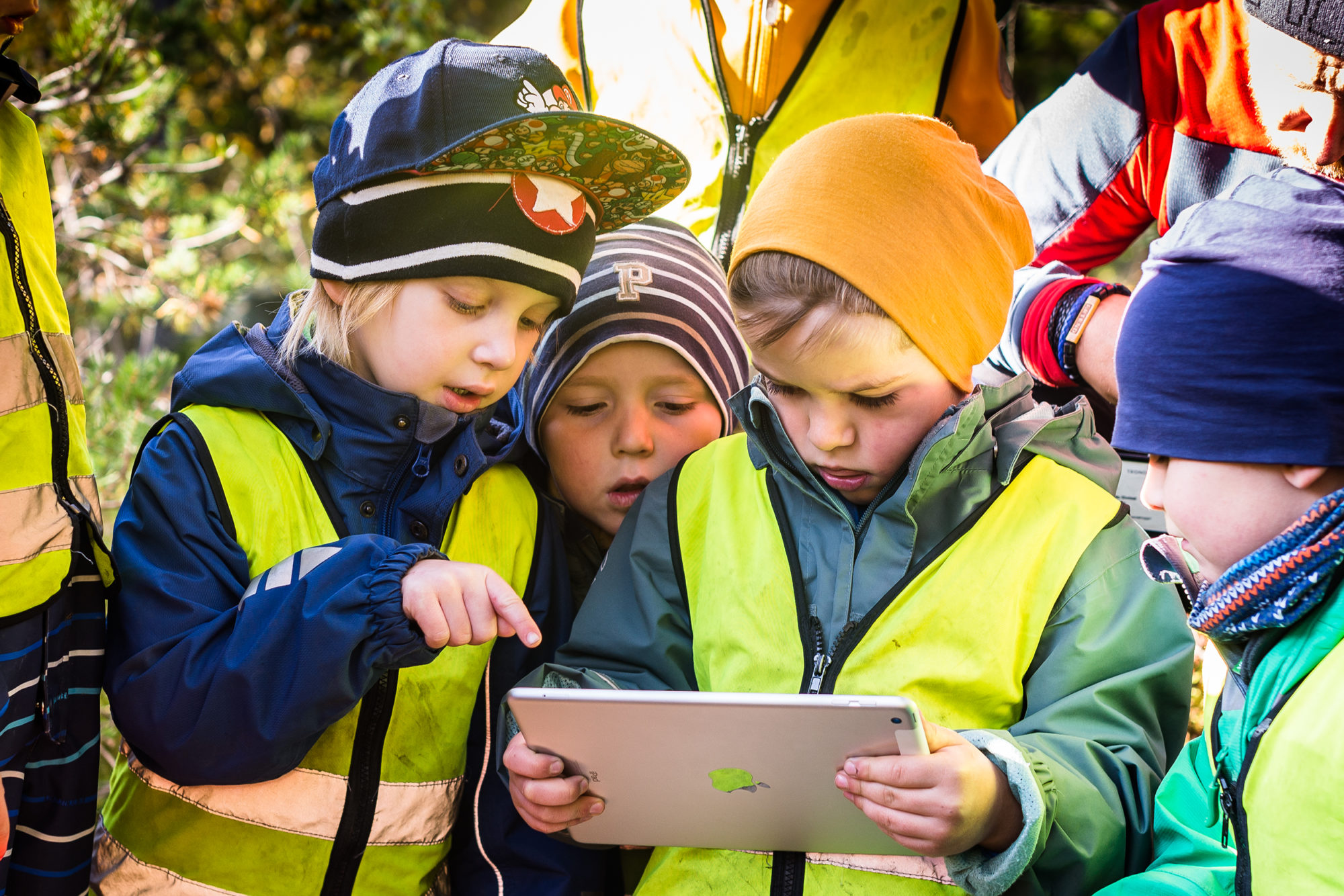 Barnehagebarn studerer i iPad ute i naturen