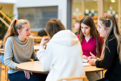 Hvordan kan vi forberede elevene på muntlig eksamen i norsk?