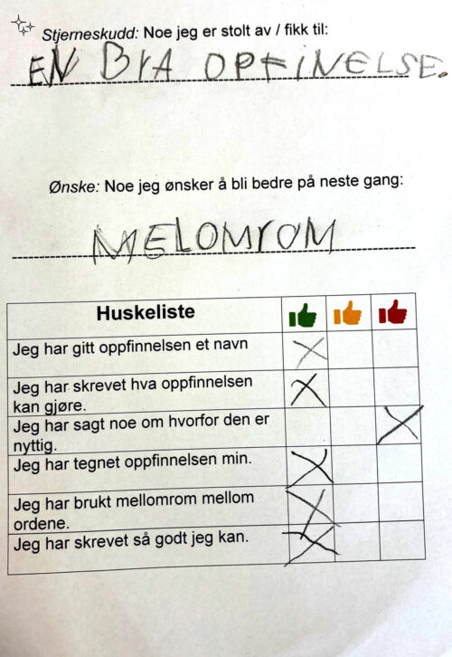 Egenvurderingsskjema fra elev i begynneropplæring.