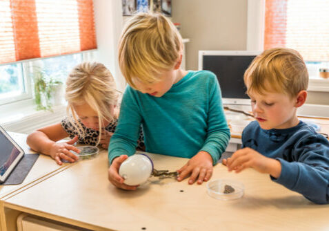 Barn som undersøker med digitalt mikroskop